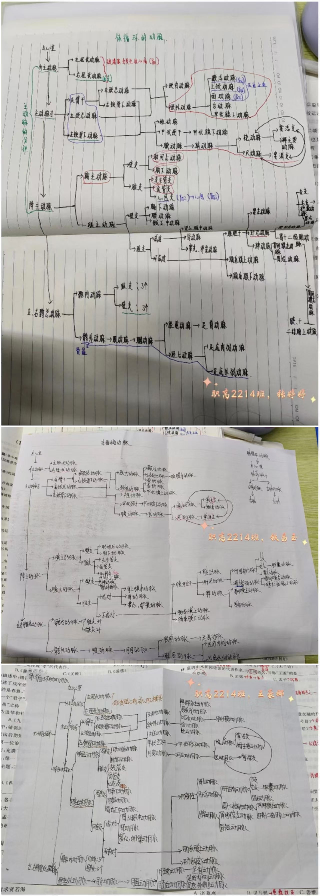 微信圖片_20250320092557