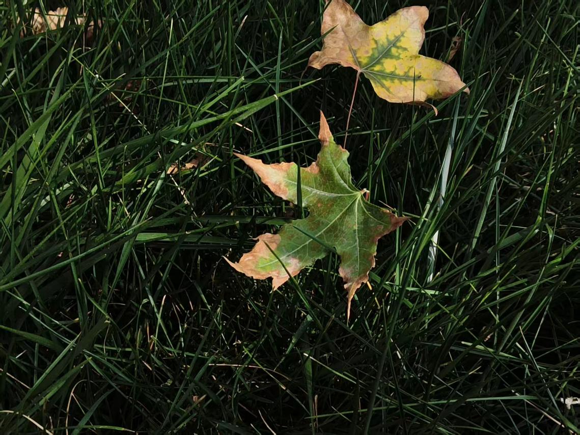 微信圖片_2025-10-10_092731_559