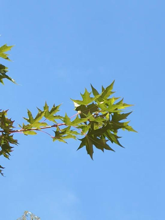 微信圖片_2025-10-10_092738_135