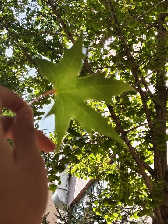 微信圖片_2025-10-10_092742_287